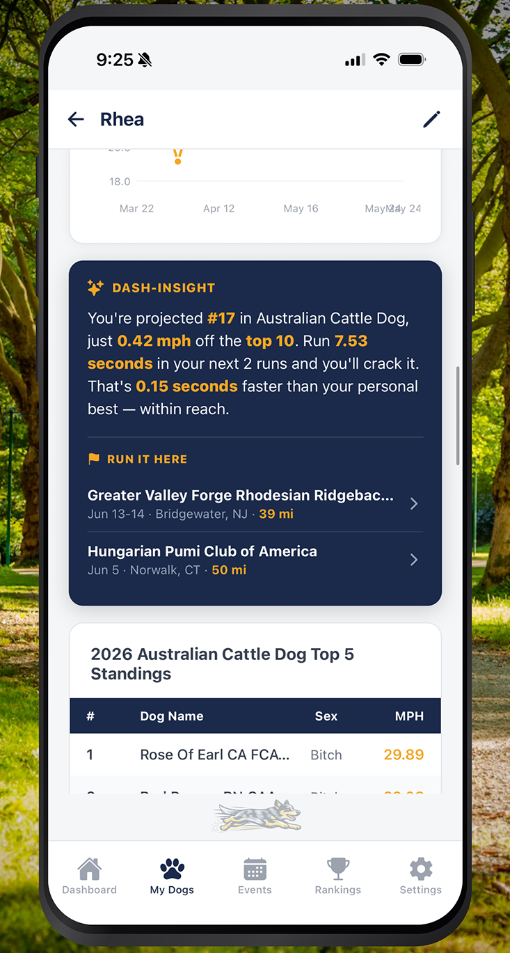Dash Hunt Dash-Hound — Fast CAT Tracker App for Handlers